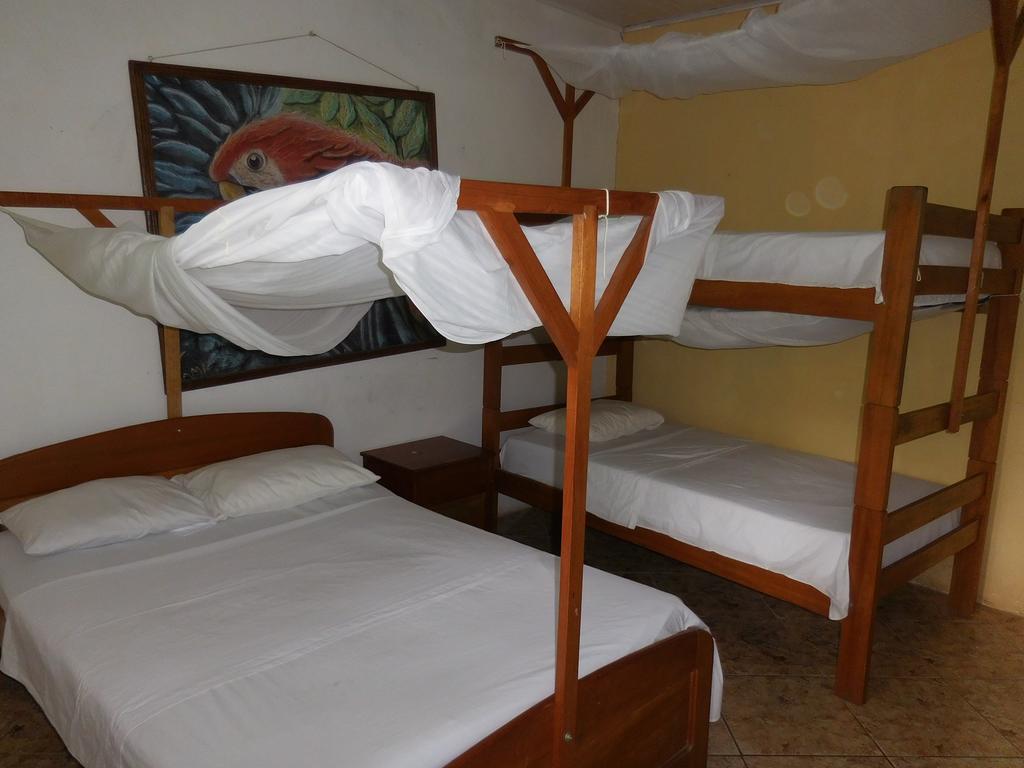 פוארטו מלדונדו Tambopata Hostel מראה חיצוני תמונה
